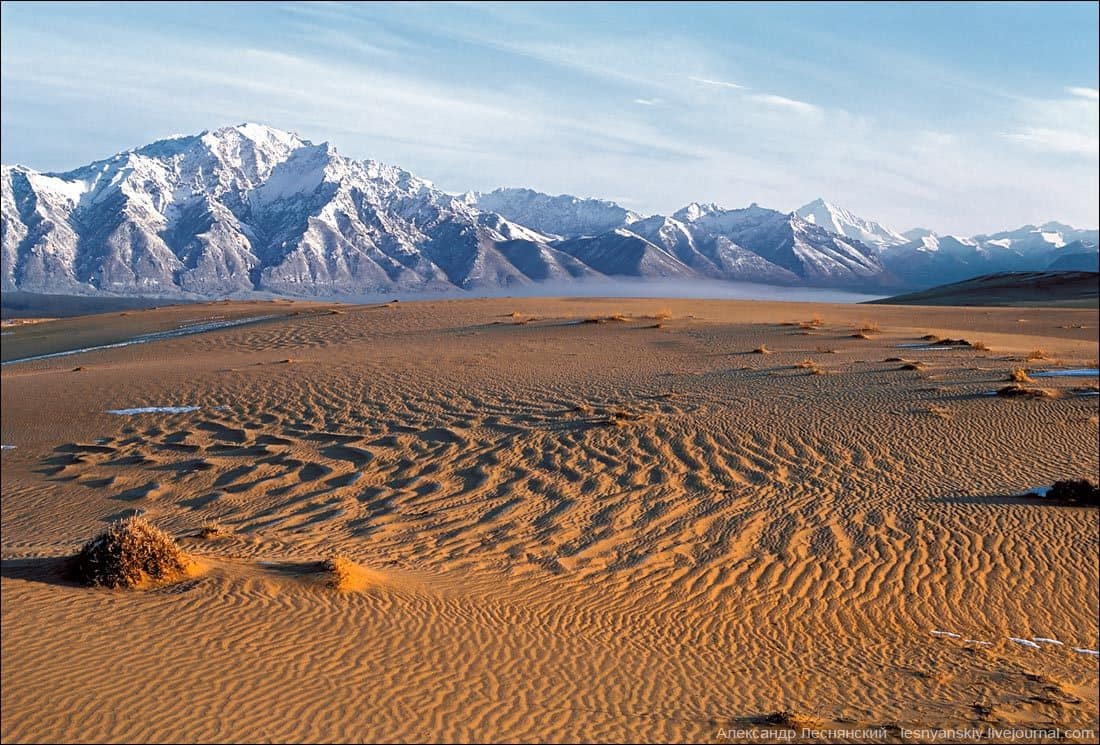 Песчаные поля в сибири